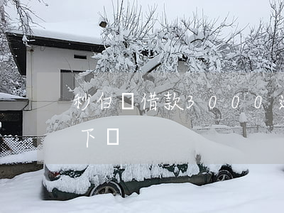 秒白條借款3000逾期(秒白條借款app下載)