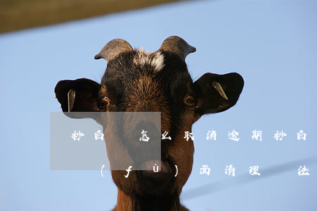 秒白條怎么取消逾期(秒白條逾期沒還支付寶負(fù)面清理辦法)