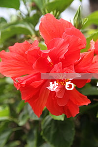 秒白條欠1500(秒白條借款)