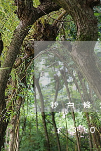 秒白條欠了3000塊錢不還了-秒白條欠了3000塊錢不還了會怎么樣
