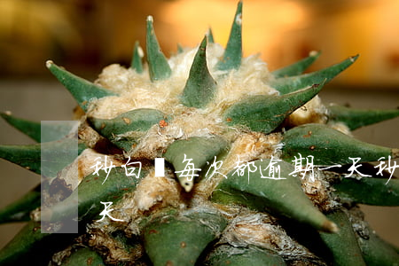 秒白條每次都逾期一天（秒白條每次都逾期一天）
