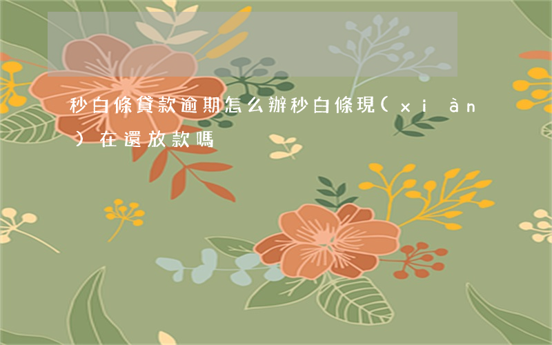 秒白條貸款逾期怎么辦(秒白條現(xiàn)在還放款嗎)