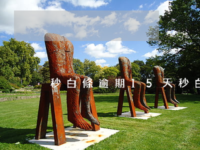 秒白條逾期15天(秒白條逾期15天)