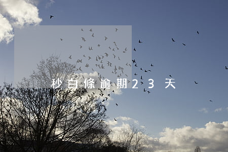 秒白條逾期23天