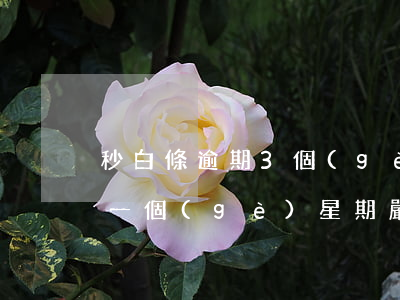 秒白條逾期3個(gè)月了怎樣(白條逾期一個(gè)星期嚴(yán)重嗎)