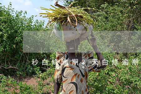 秒白條逾期3天(白條逾期一天不到)