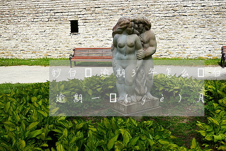 秒白條逾期3年怎么還(白條逾期3000元逾期一個(gè)月)