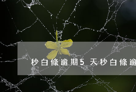 秒白條逾期5天(秒白條逾期5天)