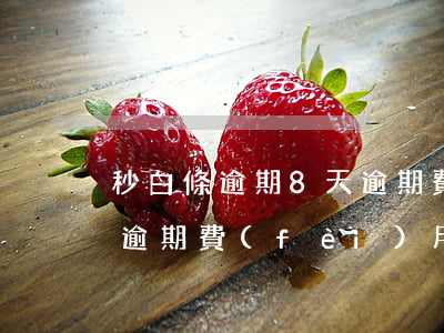 秒白條逾期8天逾期費(fèi)多少 白條逾期費(fèi)用太高了