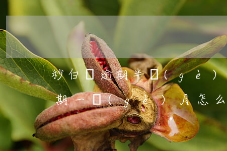秒白條逾期半個(gè)月還不上了(白條逾期一個(gè)月怎么辦)