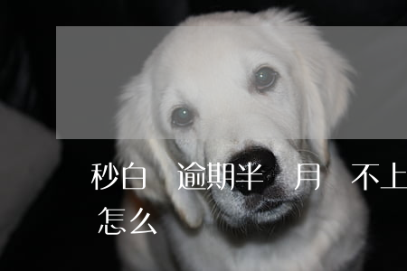秒白條逾期半個月還不上了(白條逾期一個月怎么辦)