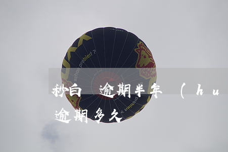 秒白條逾期半年會(huì)怎么樣(白條能逾期多久)