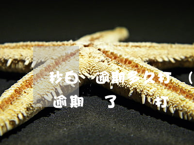 秒白條逾期多久打聯(lián)系人(白條逾期還了還會打電話給你嗎)