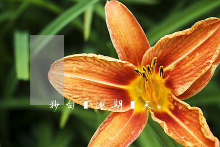 秒白條逾期幾天