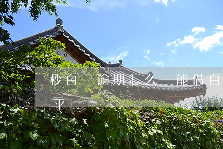 秒白條逾期怎么還能借(白條逾期還能借錢的平臺)
