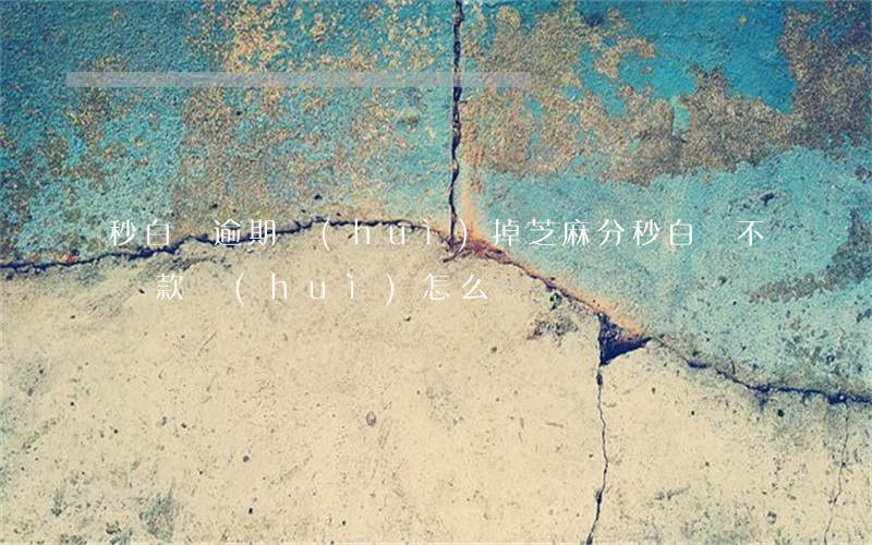 秒白條逾期會(huì)掉芝麻分?(秒白條不還款會(huì)怎么樣)