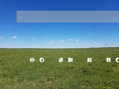 秒白條逾期說起訴我(白條逾期說要開庭)