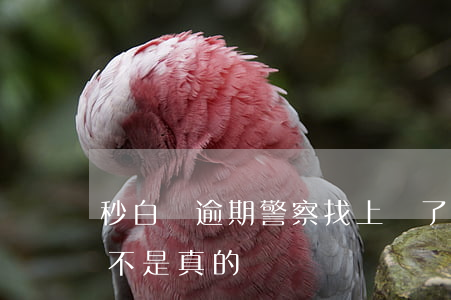 秒白條逾期警察找上門了(白條逾期說上門是不是真的)