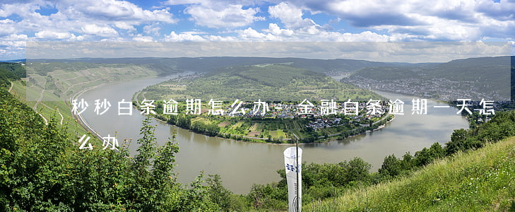 秒秒白条逾期怎么办-金融白条逾期一天怎么办