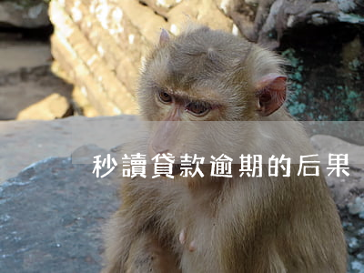 秒讀貸款逾期的后果