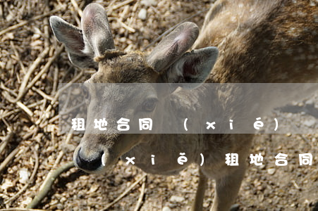 租地合同協(xié)議書(shū)怎么寫(xiě)(租地合同協(xié)議書(shū)怎么寫(xiě)格式)