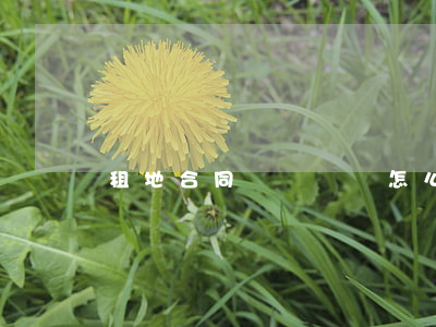 租地合同糾紛訴狀怎么寫