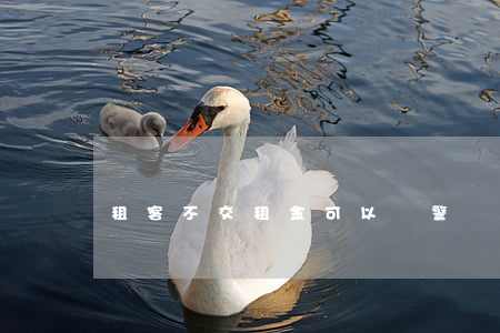 租客不交租金可以報警嗎