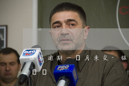 租客逾期一個月未交-租客逾期一個月未交電費