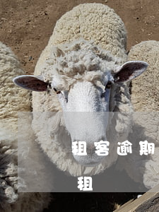租客逾期不交房租能起訴嗎(租戶逾期不交房租)