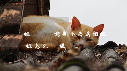 租戶違約逾期不交房租 租戶違約逾期不交房租怎么處理