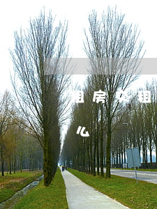 租房交租逾期一天200 租房逾期兩天該怎么辦