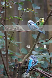 租房協(xié)議簡(jiǎn)單版