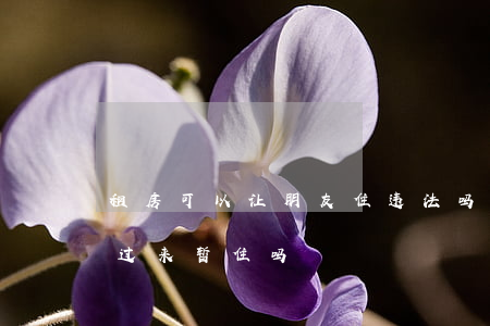 租房可以让朋友住违法吗(租房子可以带朋友过来暂住吗)