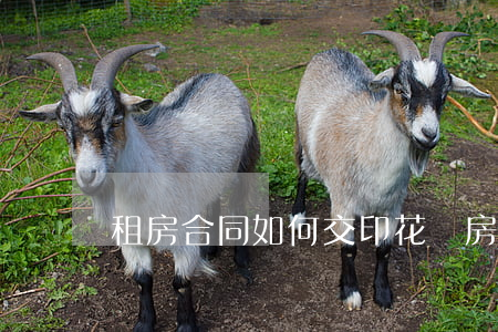 租房合同如何交印花稅（房屋租賃合同）