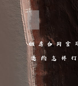 租房合同官司不请律师怎么打官司(租房合同违约怎样打官司)