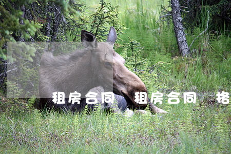 租房合同書(租房合同書格式)