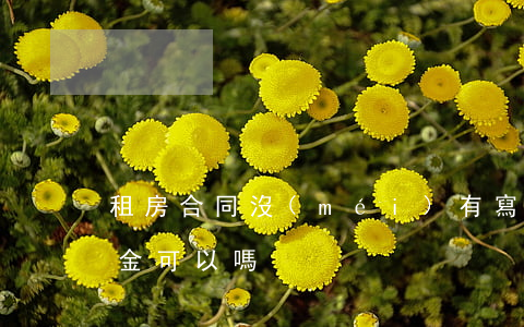 租房合同沒(méi)有寫(xiě)違約金可以嗎
