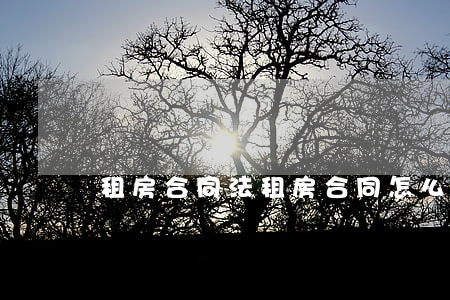 租房合同法(租房合同怎么写)