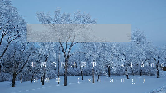 租房合同注意事項(xiàng)(租房合同注意事項(xiàng))