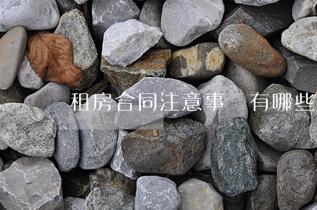 租房合同注意事項有哪些