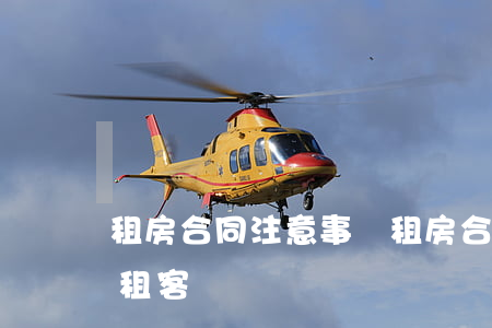 租房合同注意事項(租房合同注意事項有哪些 租客)