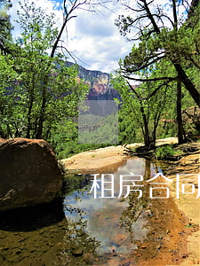 租房合同糾紛二審多久開庭