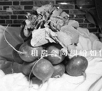 租房合同糾紛如何寫(租房合同糾紛訴訟書)