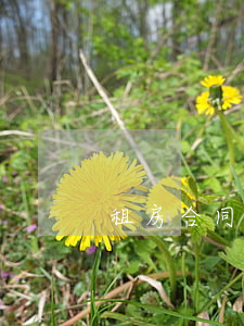 租房合同糾紛如何訴訟(租房合同起訴流程)