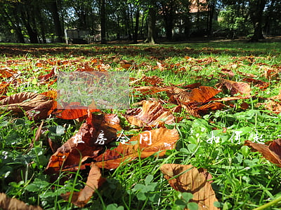 租房合同糾紛如何起訴書(租房糾紛起訴狀)