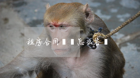租房合同糾紛怎么答辯