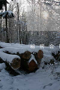 租房合同糾紛怎么解決