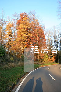 租房合同糾紛打官司要多少錢