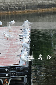 租房合同糾紛由哪個(gè)部門仲裁