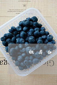 租房合同糾紛起訴狀怎么寫(xiě)